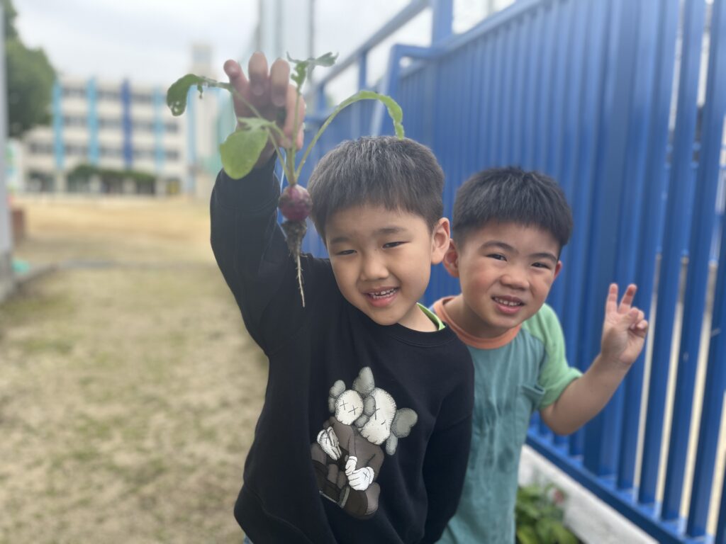 Early Childhood - Plant, gardening,