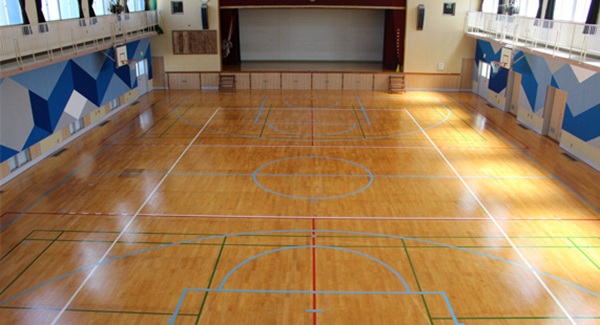 gymnasium-im1g