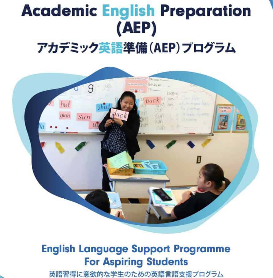 OWIS Japan AEP Pamphlet for exit intent and downloads page